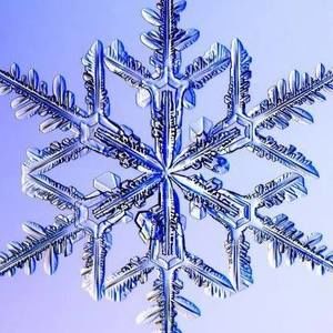 Meet your Posher, Gale